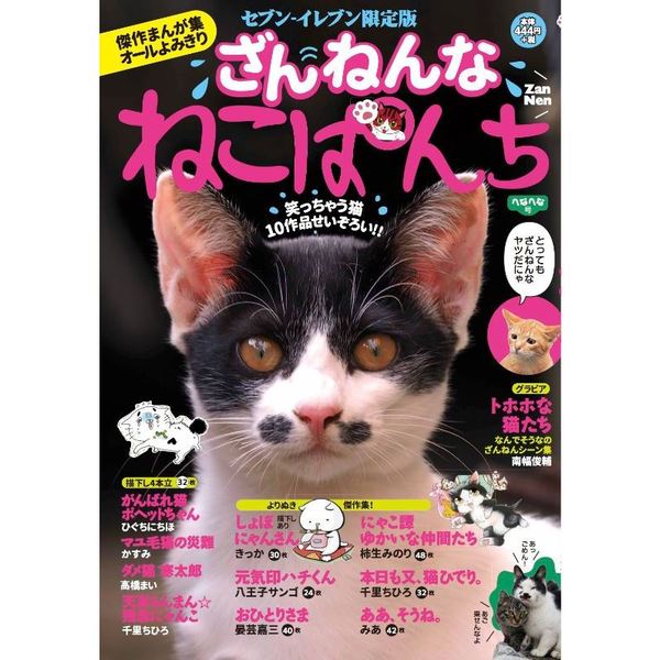 ざんねんなねこぱんち　ヘナヘナ号