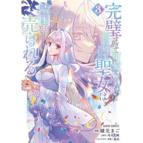 完璧すぎて可愛げがないと婚約破棄された聖女は隣国に売られる 3
