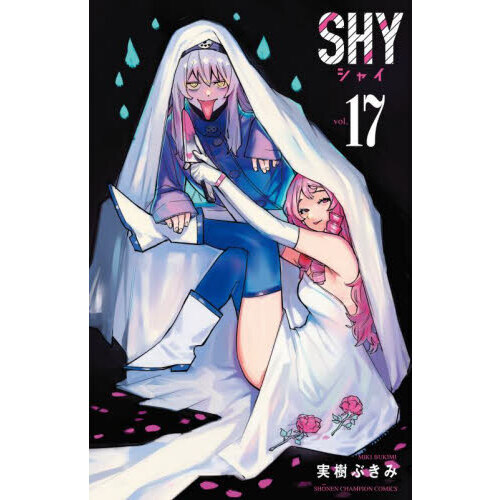 SHY 17