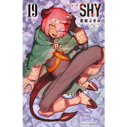 SHY 19