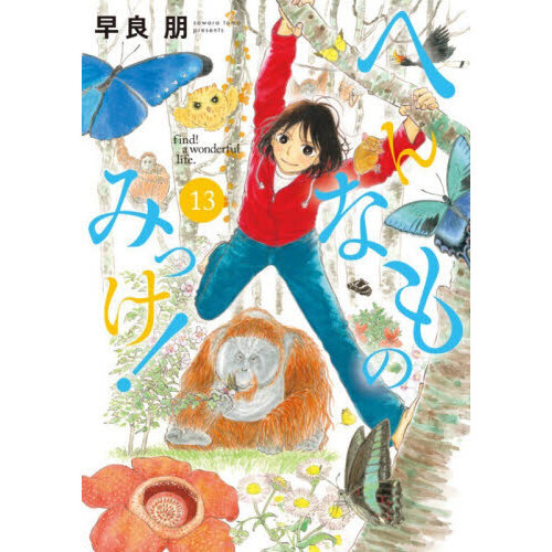 へんなものみっけ！　１３