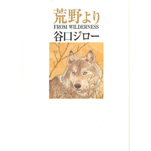 荒野より