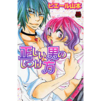 正しい男のしつけ方