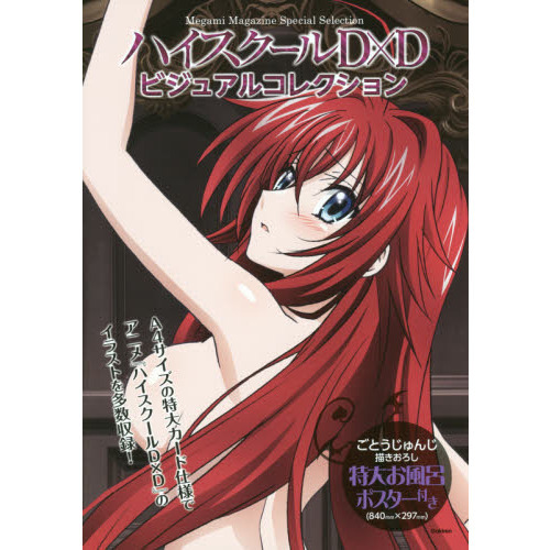 ハイスクールＤ×Ｄビジュアルコレクション
