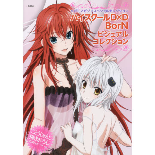 ハイスクールＤ×Ｄ　ＢｏｒＮビジュアルコレクション