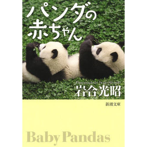 パンダの赤ちゃん