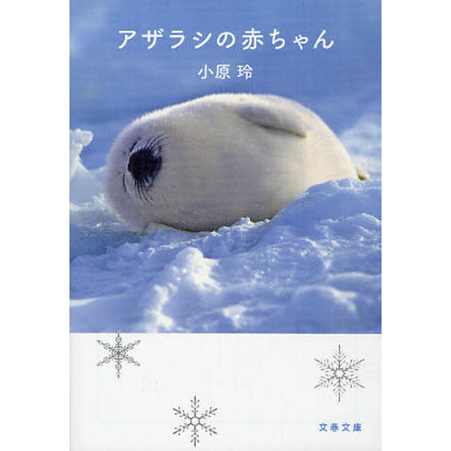 アザラシの赤ちゃん