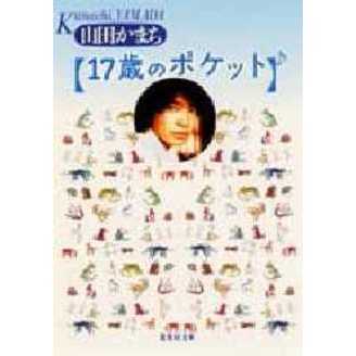 １７歳のポケット