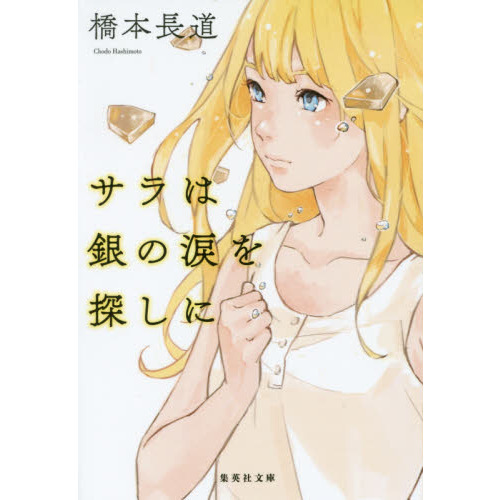 サラは銀の涙を探しに