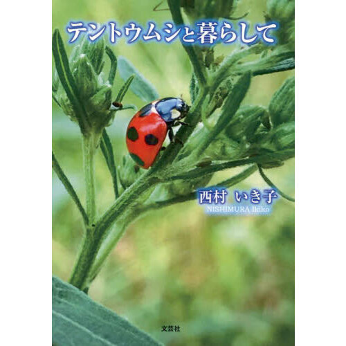 テントウムシと暮らして