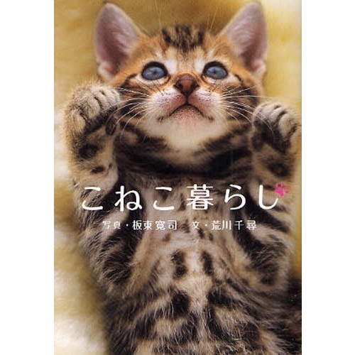 こねこ暮らし