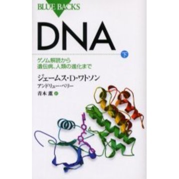 ＤＮＡ　下