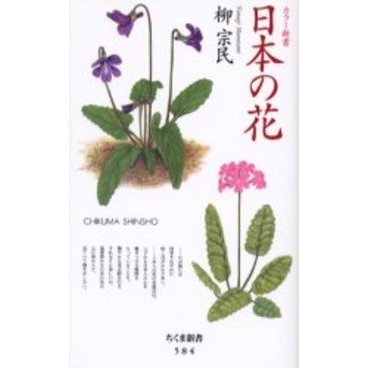 日本の花