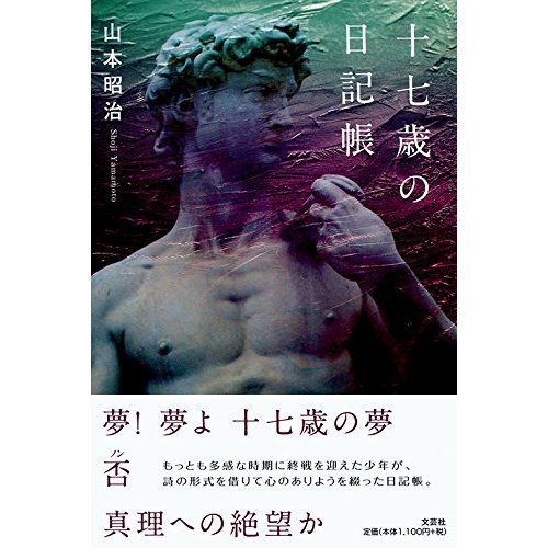 十七歳の日記帳
