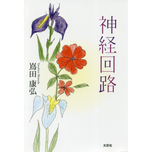 神経回路