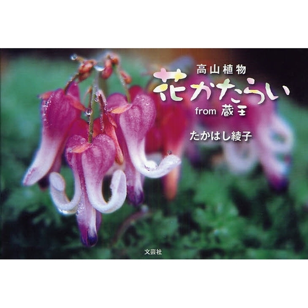 高山植物　花かたらい　ｆｒｏｍ蔵王