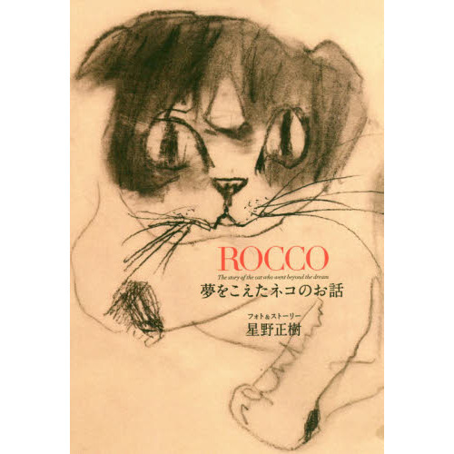 ＲＯＣＣＯ　夢をこえたネコのお話