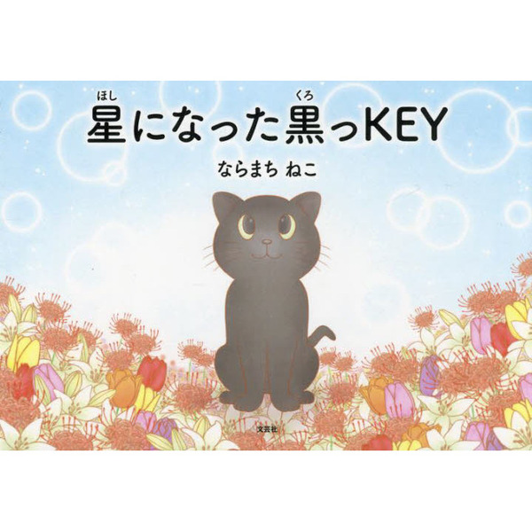 星になった黒っＫＥＹ