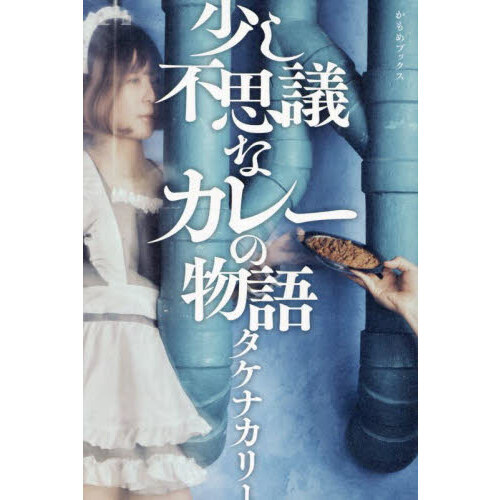 少し不思議なカレーの物語　小説
