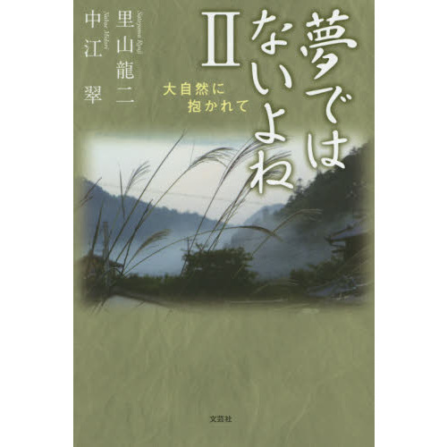 夢ではないよね　２
