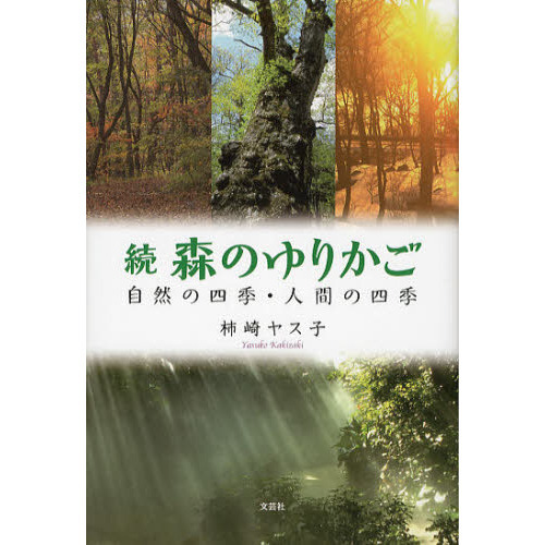 森のゆりかご　続