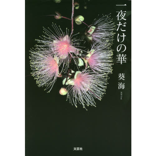 一夜だけの華