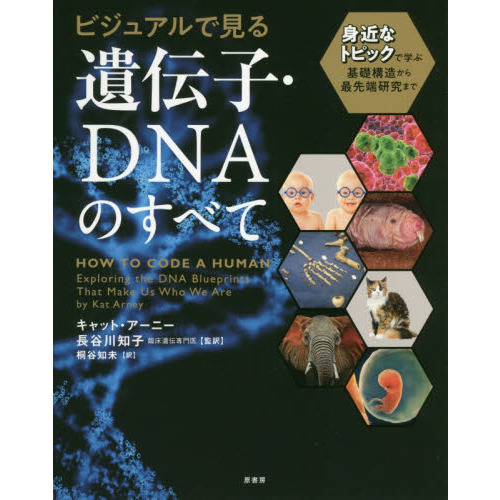 ビジュアルで見る遺伝子・ＤＮＡのすべて　身近なトピックで学ぶ基礎構造から最先端研究まで