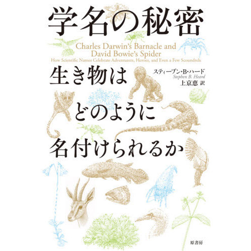 学名の秘密 生き物はどのように名付けられるか