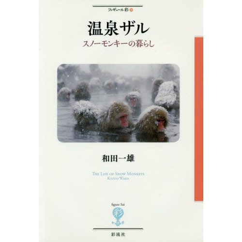 温泉ザル　スノーモンキーの暮らし