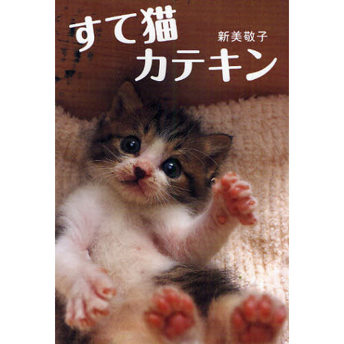 すて猫カテキン 新装版