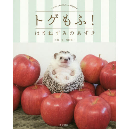 トゲもふ！はりねずみのあずき　Ｉ’ｍ　ｎｏｔ　ａ　ｍｏｕｓｅ，Ｉ’ｍ　ａ　ｈｅｄｇｅｈｏｇ！