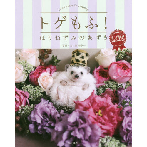 トゲもふ！はりねずみのあずきＬＩＦＥ　Ｉ’ｍ　ｎｏｔ　ａ　ｍｏｕｓｅ，Ｉ’ｍ　ａ　ｈｅｄｇｅｈｏｇ！