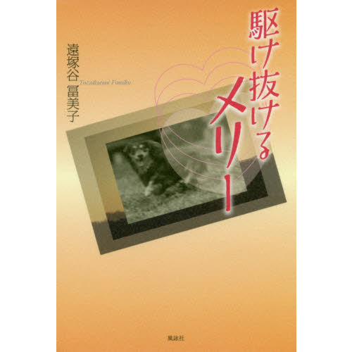 駆け抜けるメリー