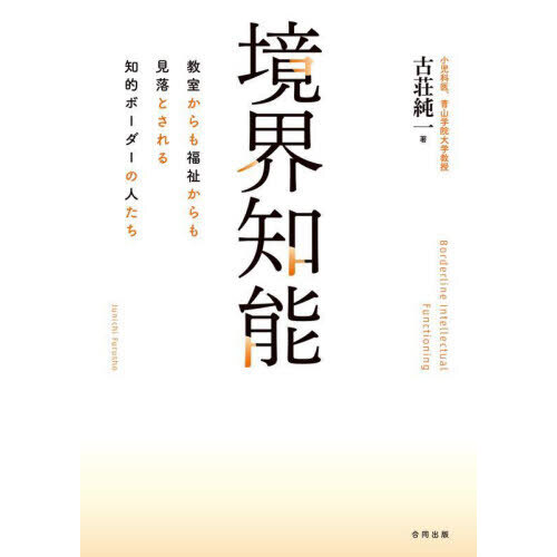 境界知能　教室からも福祉からも見落とされる知的ボーダーの人たち