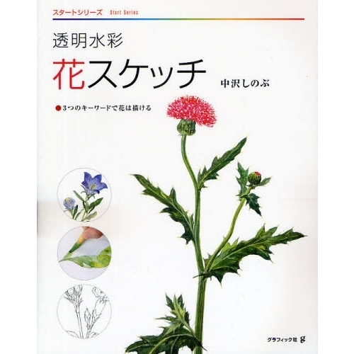 透明水彩 花スケッチ―3つのキーワードで花は描ける (スタートシリーズ)