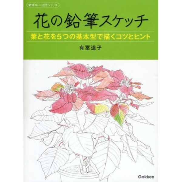 花の鉛筆スケッチ　葉と花を５つの基本型で描くコツとヒント