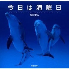 今日は海曜日