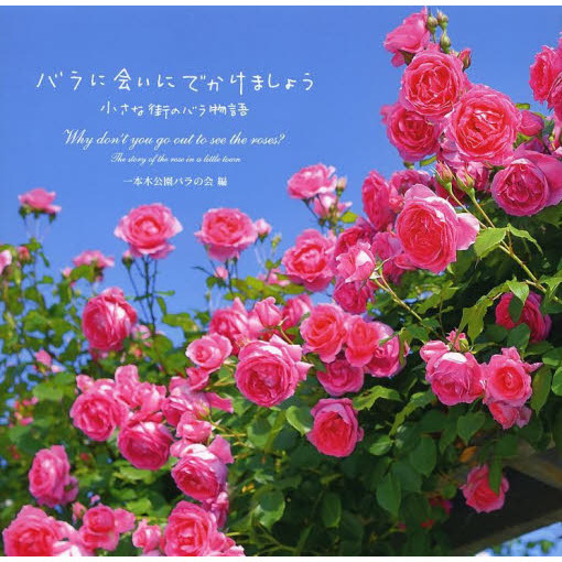 バラに会いにでかけましょう 小さな街のバラ物語
