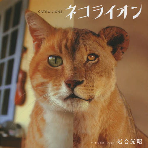 ネコライオン
