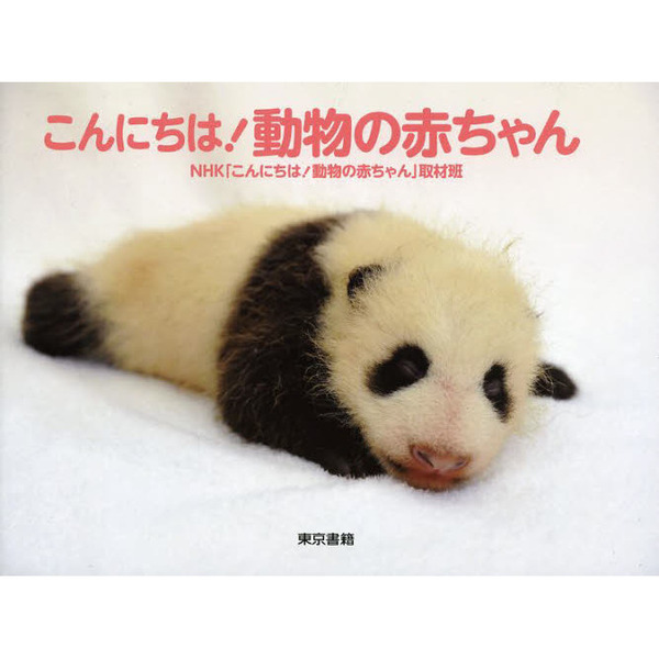 こんにちは! 動物の赤ちゃん