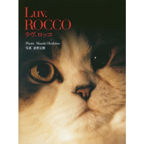 Ｌｕｖ．ＲＯＣＣＯ　ＲＯＣＣＯ　ｏｆ　ｔｈｅ　ｃａｔ　ｉｎ　ｄｒａｍａｔｕｒｇｉｅ