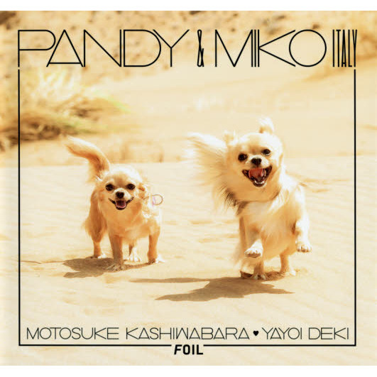 ＰＡＮＤＹ　＆　ＭＩＫＯ　ＩＴＡＬＹ
