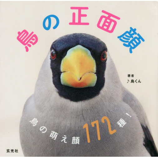 鳥の正面顔　鳥の萌え顔１７２種！