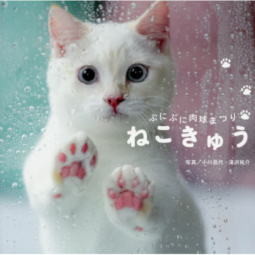 ねこきゅう　ぷにぷに肉球まつり