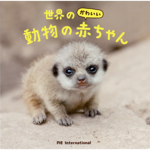 世界のかわいい動物の赤ちゃん