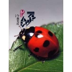 テントウムシ