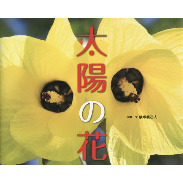 太陽の花