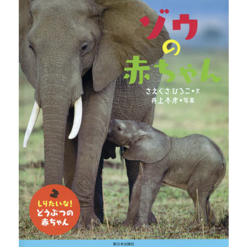 ゾウの赤ちゃん