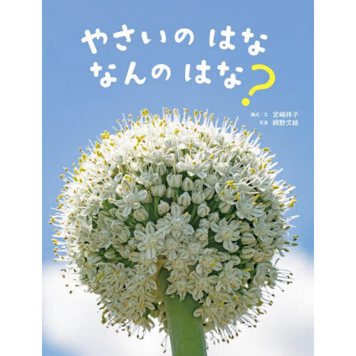 やさいのはななんのはな？