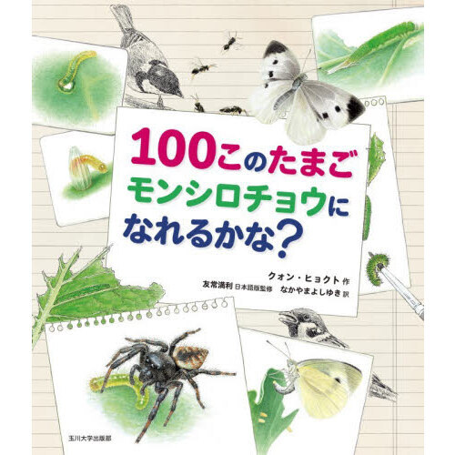 １００このたまごモンシロチョウになれるかな？